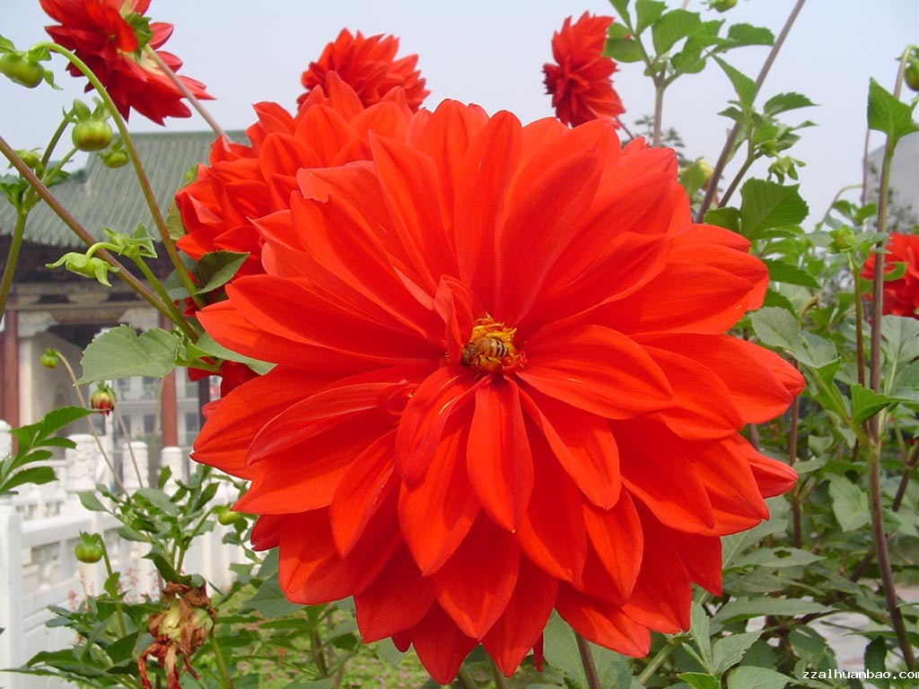 一份耕耘一份收获